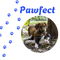 Pawfect – Inicio
