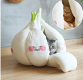 Playful Home Starter Kit /  Premium Garlic Bed + Interactive Toy