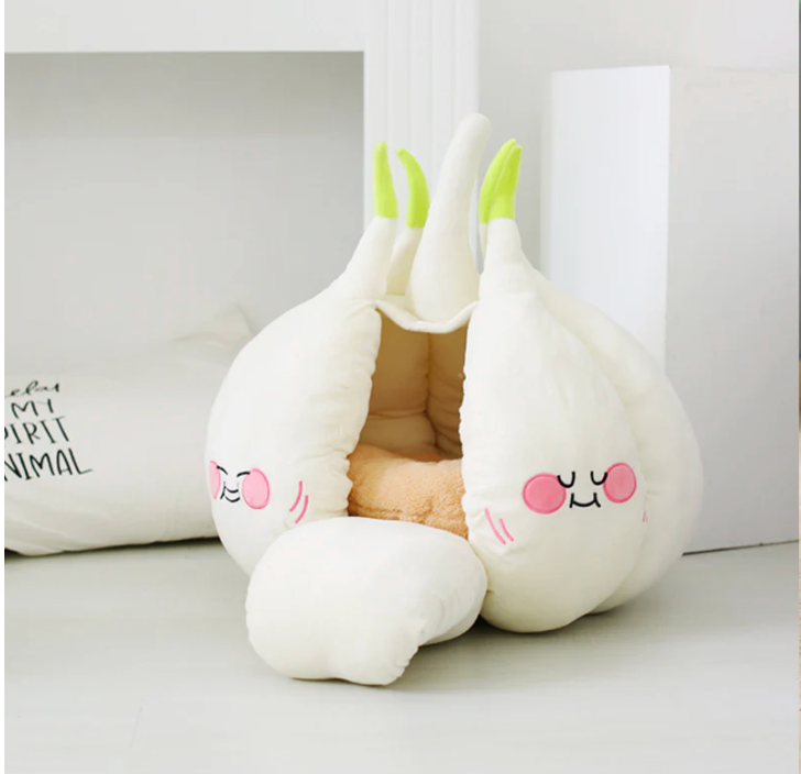 Playful Home Starter Kit /  Premium Garlic Bed + Interactive Toy