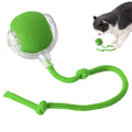 Interactive Ball Toy with Rope — Indoor Cats